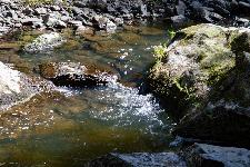 _MG_8762.jpg
