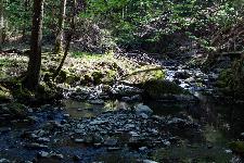 _MG_8763.jpg
