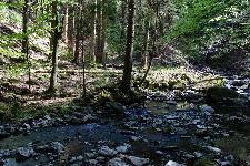 _MG_8764.jpg