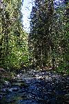 _MG_8765.jpg