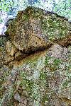 _MG_8768.jpg