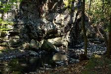 _MG_8770.jpg