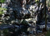 _MG_8771.jpg