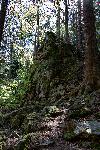 _MG_8773.jpg