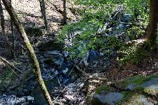 _MG_8774.jpg