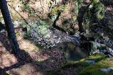 _MG_8776.jpg
