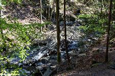 _MG_8777.jpg