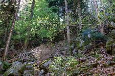 _MG_8778.jpg
