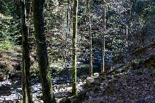 _MG_8780.jpg