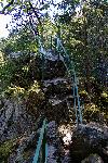 _MG_8784.jpg