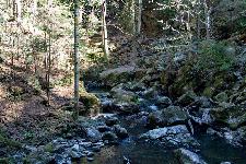 _MG_8791.jpg