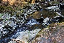 _MG_8792.jpg