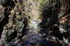 _MG_8793.jpg