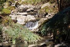 _MG_8794.jpg