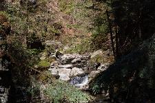 _MG_8795.jpg