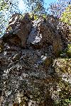 _MG_8796.jpg