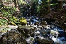 _MG_8800.jpg