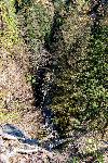 _MG_8803.jpg