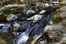 _MG_8805.jpg