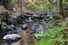 _MG_8807.jpg