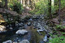 _MG_8808.jpg