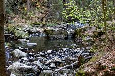 _MG_8810.jpg