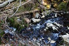 _MG_8811.jpg