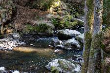_MG_8812.jpg