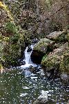 _MG_8814.jpg