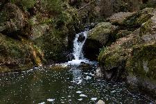 _MG_8820.jpg