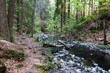 _MG_8833.jpg