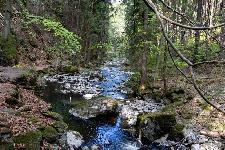 _MG_8835.jpg