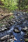 _MG_8837.jpg