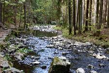 _MG_8838.jpg