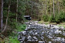 _MG_8840.jpg
