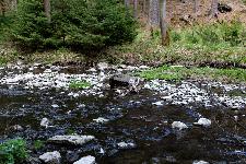 _MG_8842.jpg