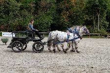 IMG_4495.jpg