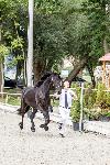 IMG_4500.jpg