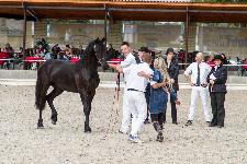 IMG_4545.jpg