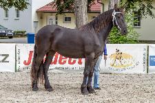 IMG_4547.jpg