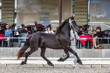 IMG_4579.jpg