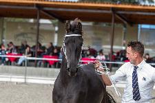 IMG_4585.jpg