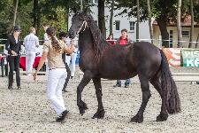 IMG_4767.jpg