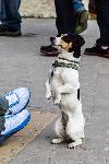 IMG_5057.jpg