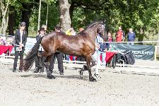 IMG_5388.jpg