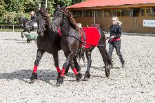 IMG_5463.jpg