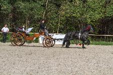 IMG_5478.jpg