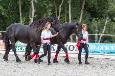 IMG_5526.jpg