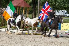 IMG_5582.jpg