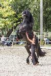 IMG_5624.jpg
